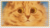 I love to do stuff on the computer